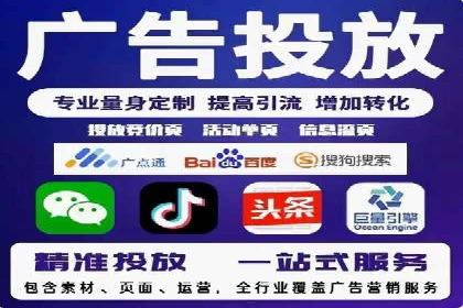 SEM搜索引擎优化策略解析与应用案例